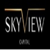 Skyview Capital Lawsuit Avatar